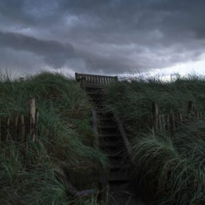 olivier-cosson-photographie-vert-éparse